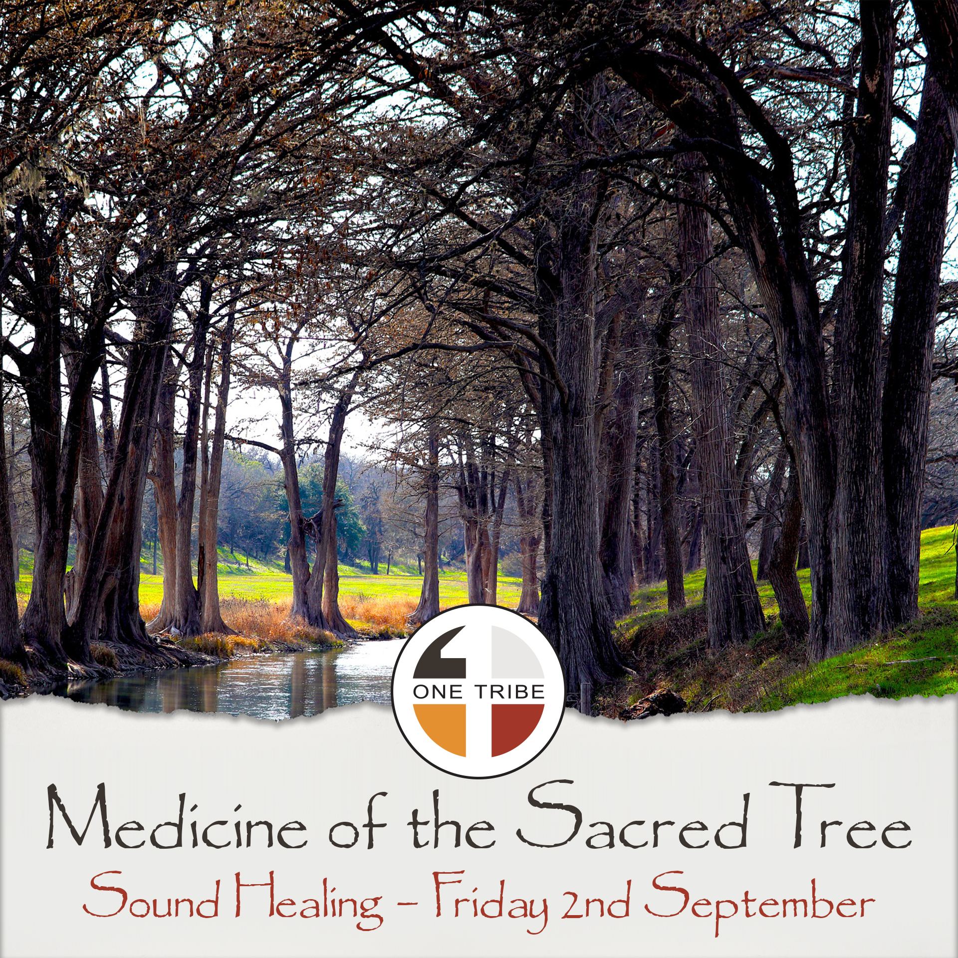 Medicine of the Sacred Tree IG